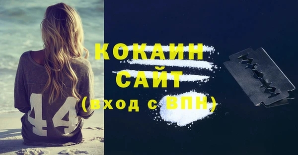 индика Алексин