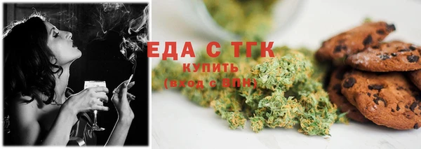 индика Алексин