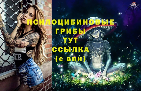 шишки Алексеевка