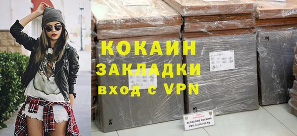 индика Алексин