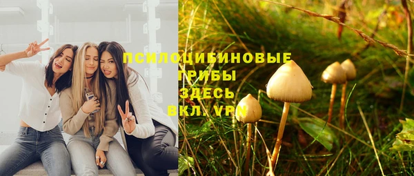 шишки Алексеевка