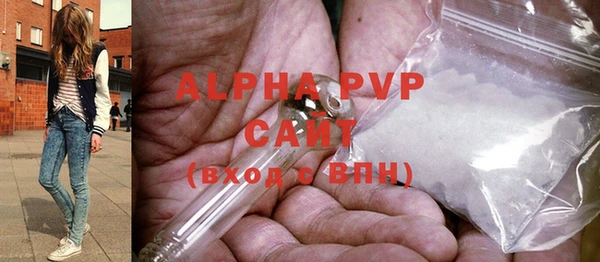 индика Алексин