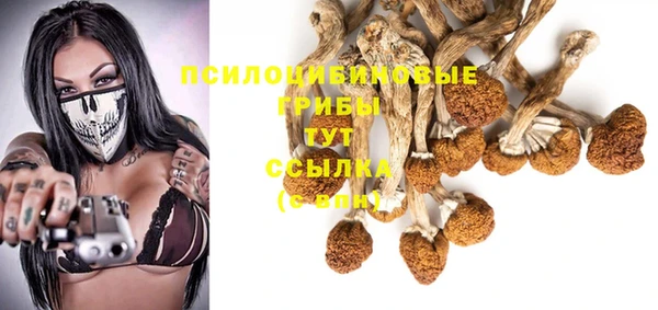 шишки Алексеевка