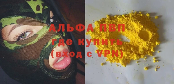индика Алексин