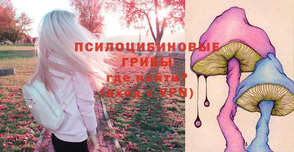 мет Алзамай
