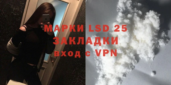 индика Алексин