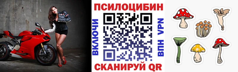 Псилоцибиновые грибы MAGIC MUSHROOMS купить наркотики сайты Егорьевск
